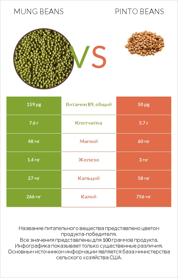 Mung beans vs Pinto beans infographic