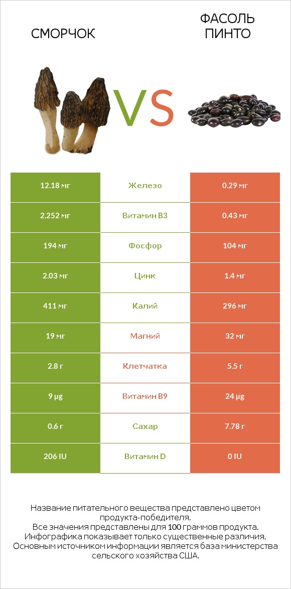 Сморчок vs Фасоль пинто infographic