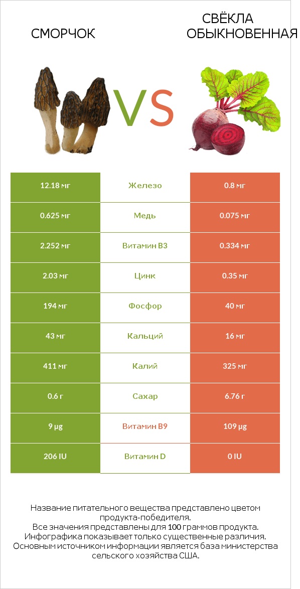 Сморчок vs Свёкла обыкновенная infographic