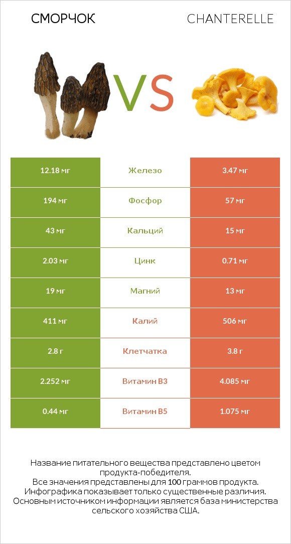 Сморчок vs Лисичка обыкновенная infographic