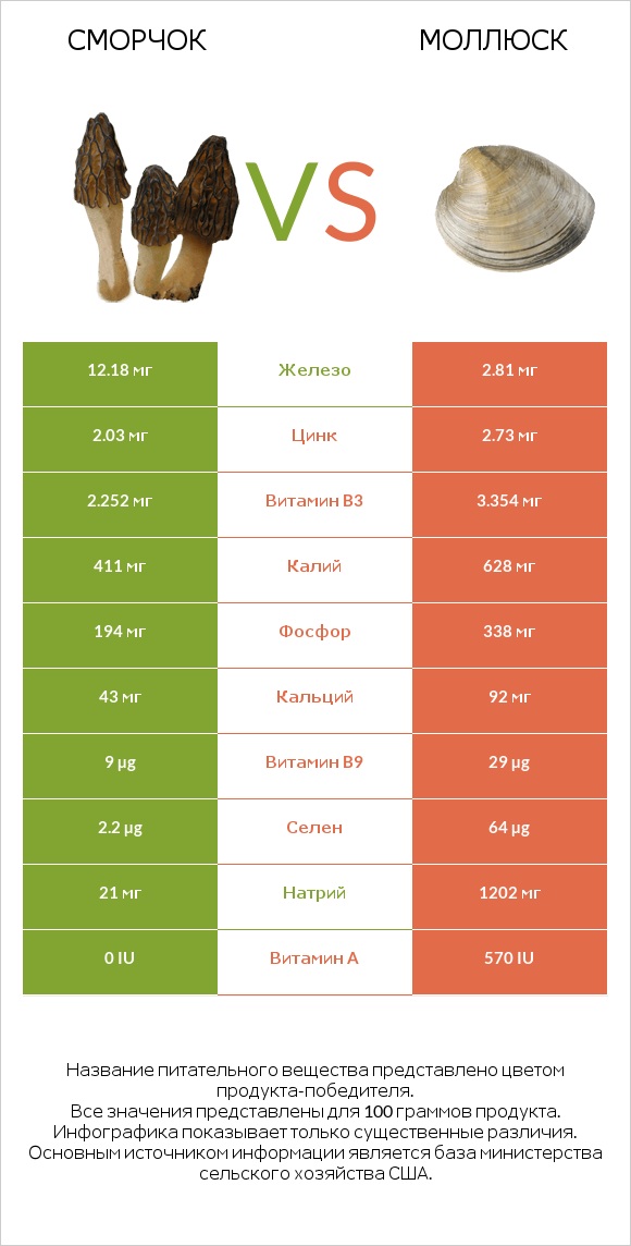 Сморчок vs Моллюск infographic