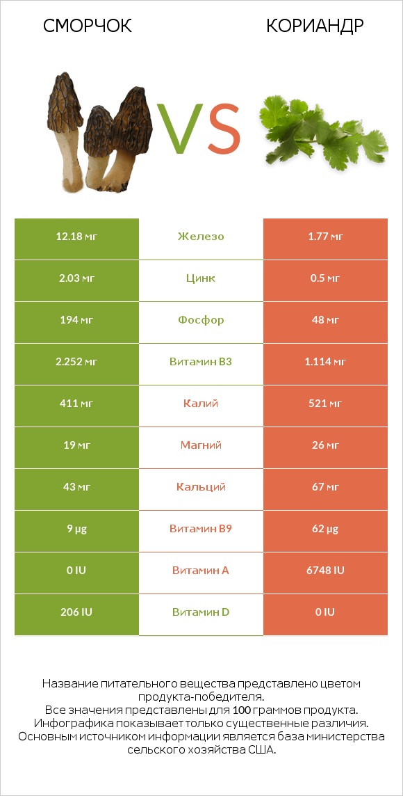 Сморчок vs Кориандр infographic