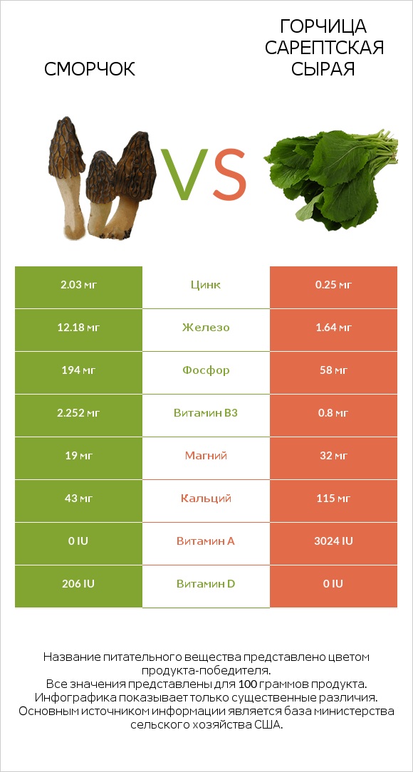 Сморчок vs Горчица сарептская сырая infographic