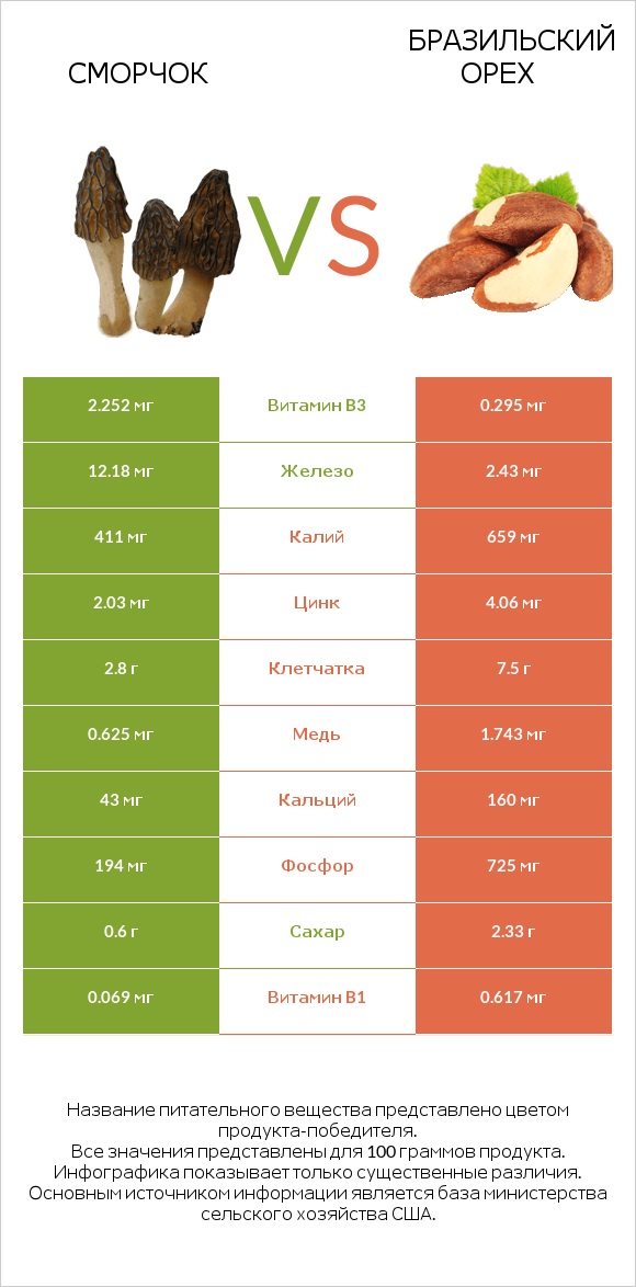 Сморчок vs Бразильский орех infographic