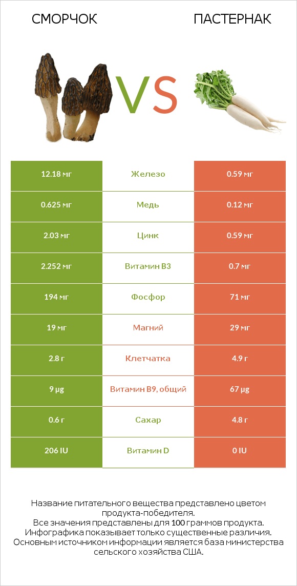 Сморчок vs Пастернак посевной (Пастернак луговой, Пастернак обыкновенный) infographic