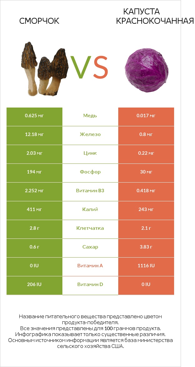Сморчок vs Капуста краснокочанная infographic