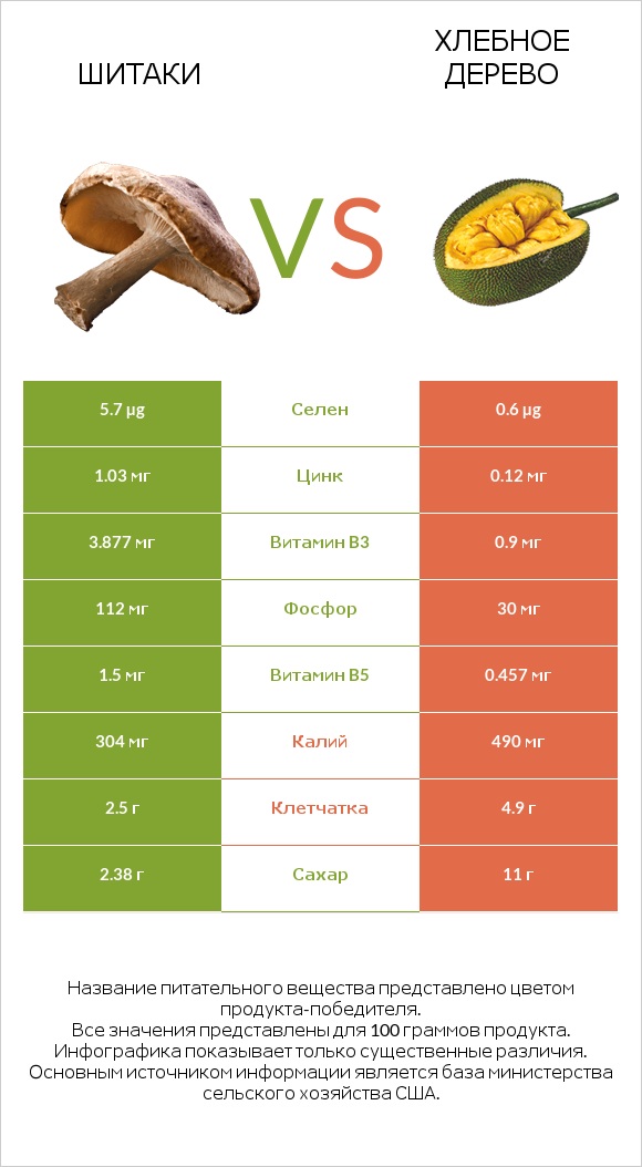 Шитаки vs Хлебное дерево infographic