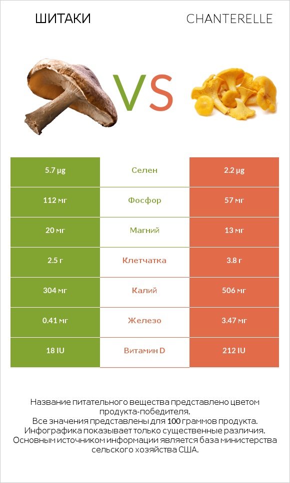 Шитаки vs Лисичка обыкновенная infographic