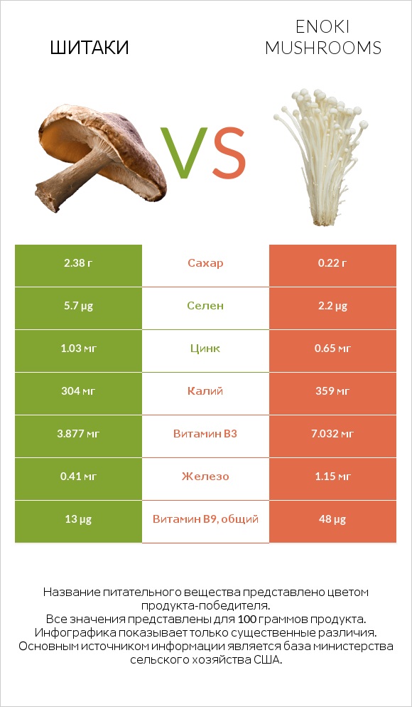 Шитаки vs Опёнок зимний  infographic