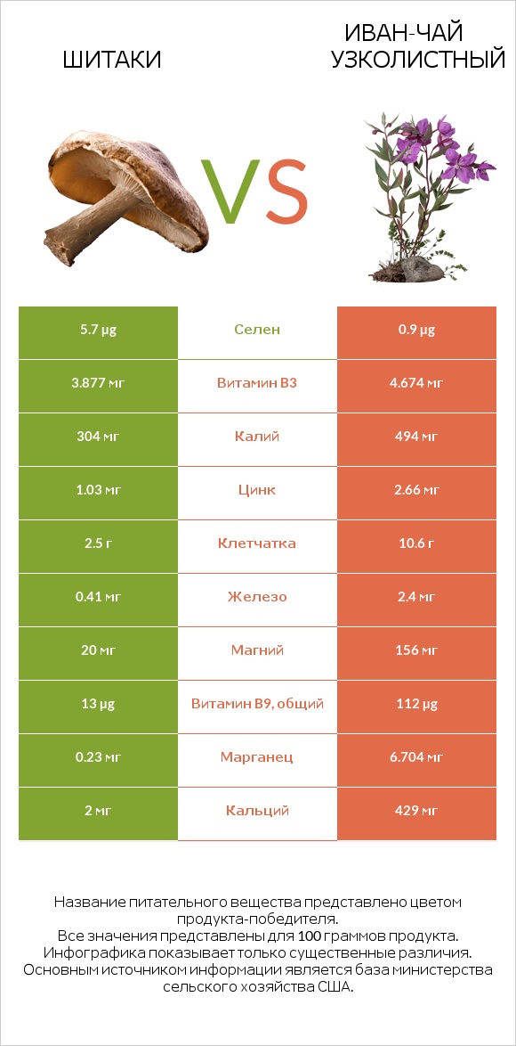Шитаки vs Иван-чай узколистный infographic