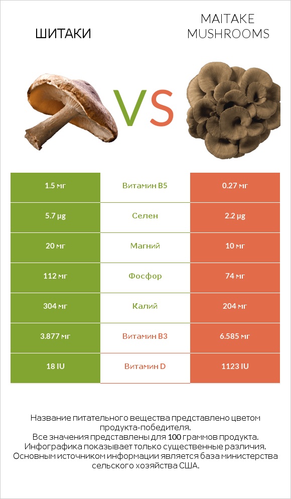Шитаки vs Maitake mushrooms infographic