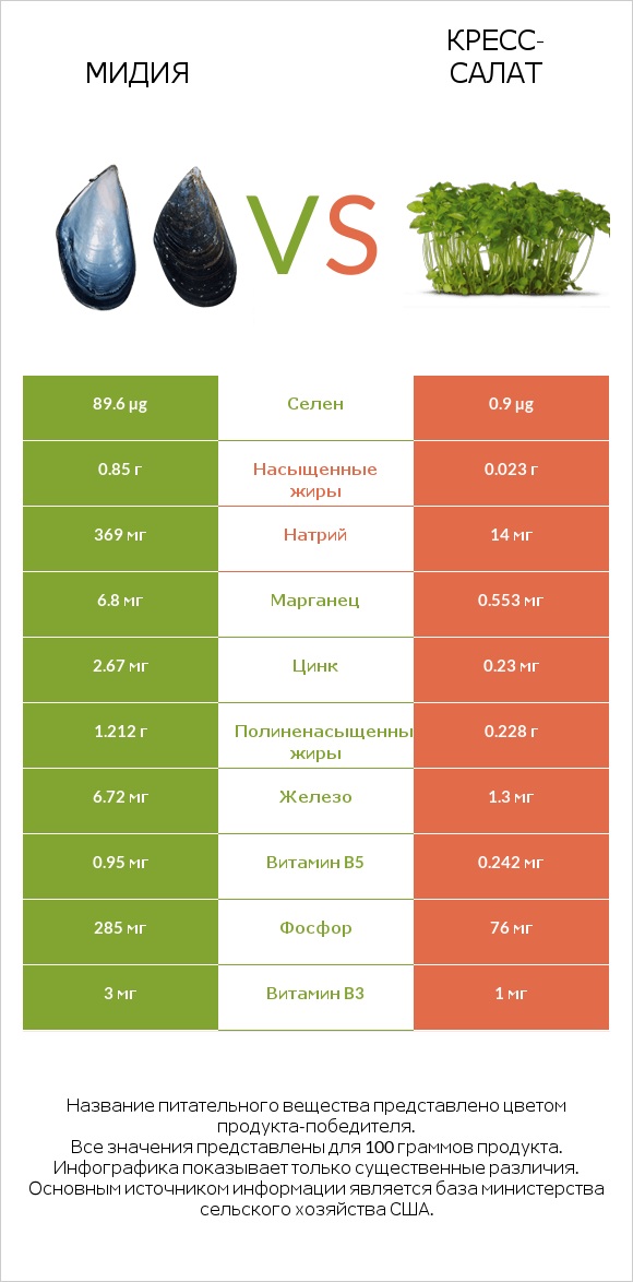 Мидия vs Кресс-салат infographic