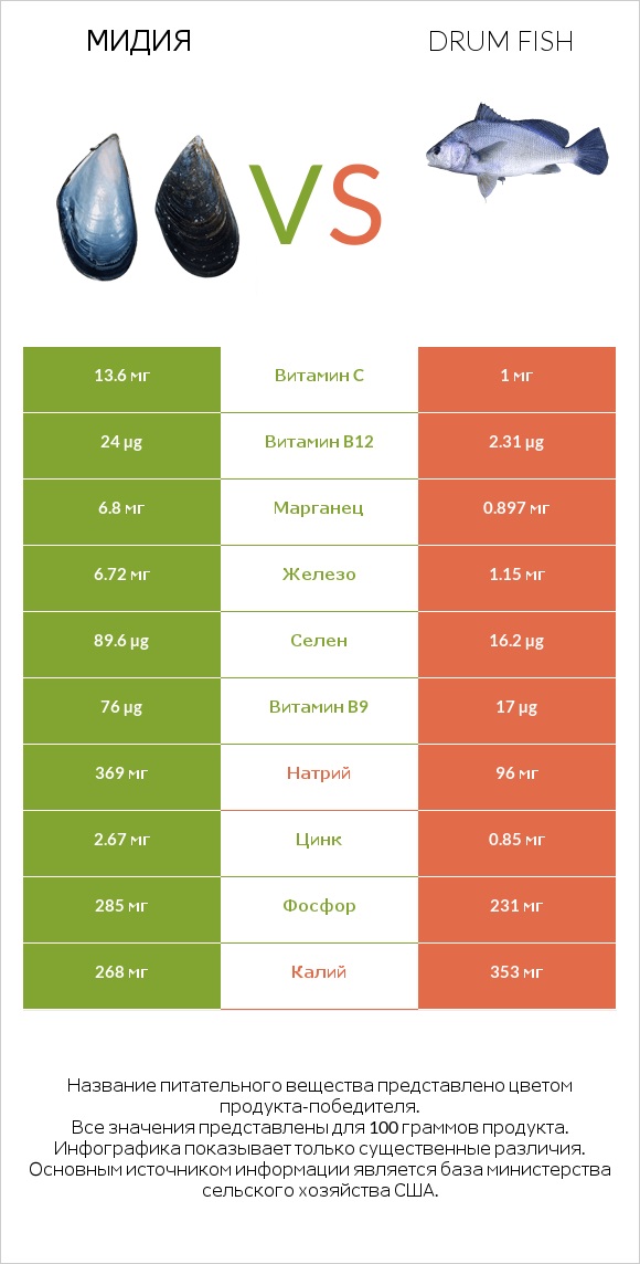 Мидия vs Drum fish infographic