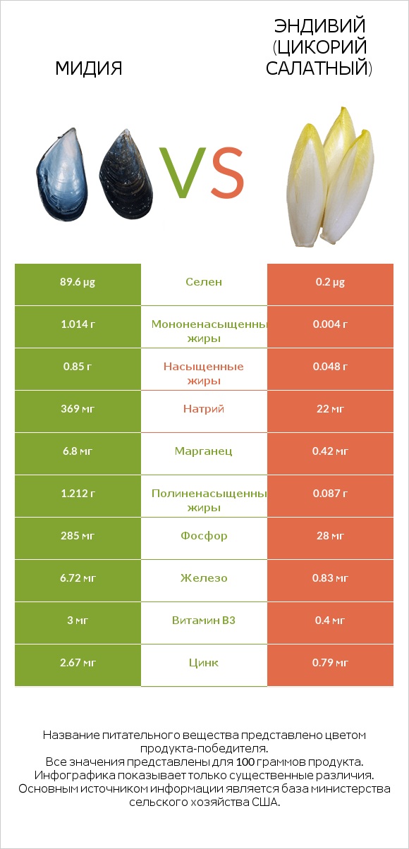 Мидия vs Эндивий (Цикорий салатный)  infographic