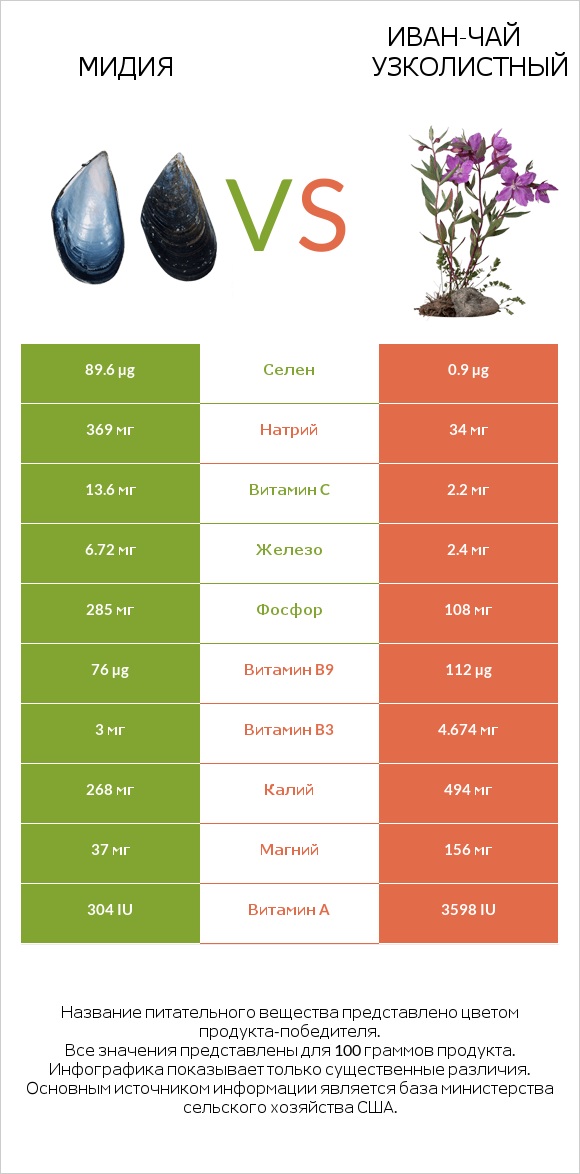 Мидия vs Иван-чай узколистный infographic