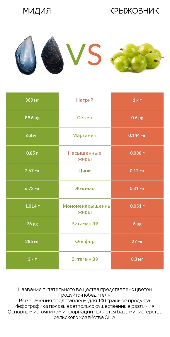 Мидия vs Крыжовник infographic