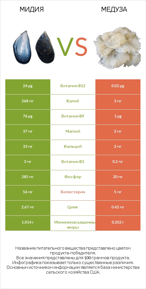 Мидия vs Медуза infographic