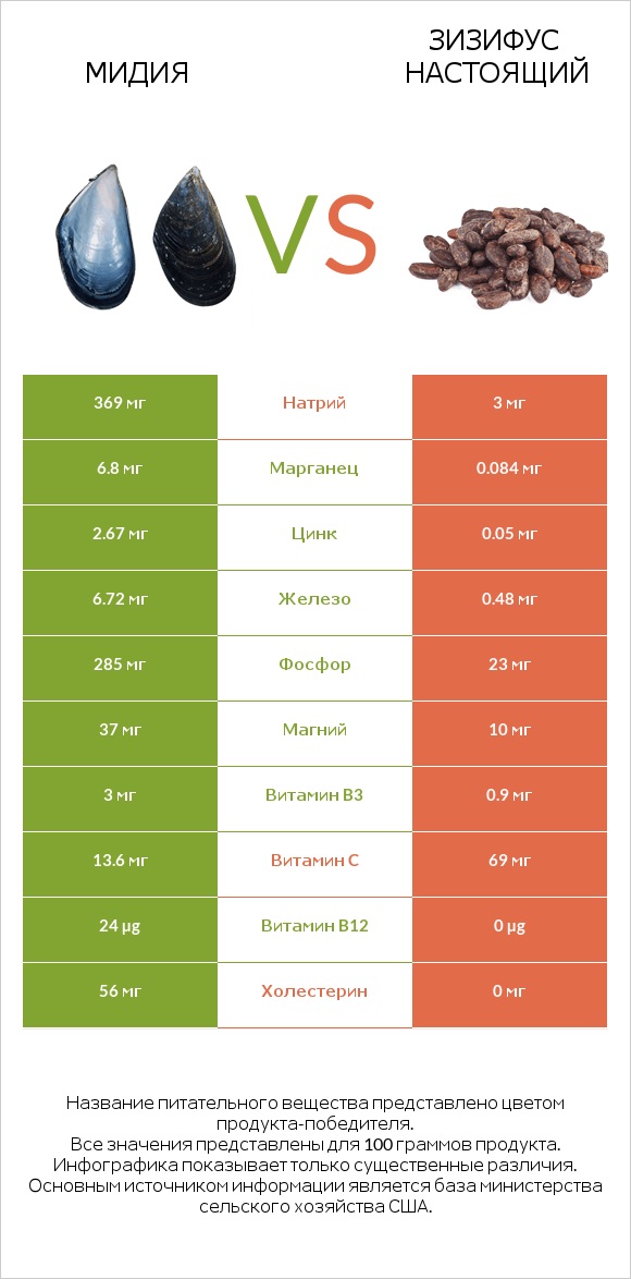 Мидия vs Зизифус настоящий infographic