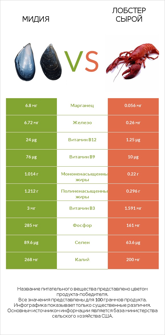 Мидия vs Лобстер сырой infographic