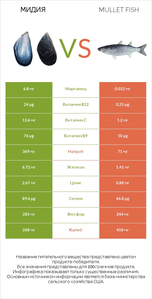 Мидия vs Mullet fish infographic