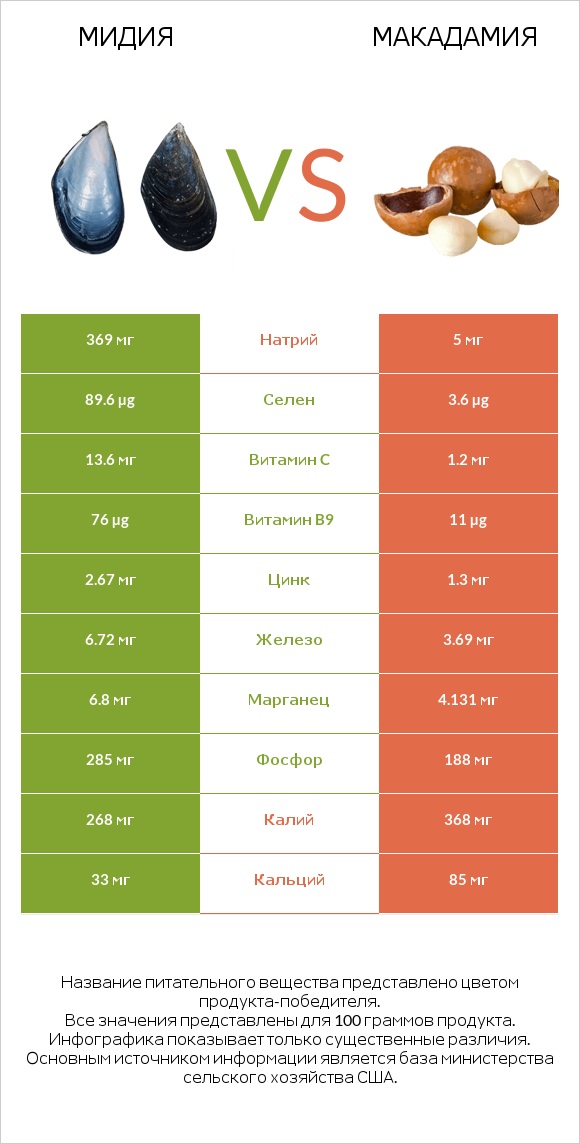 Мидия vs Макадамия infographic