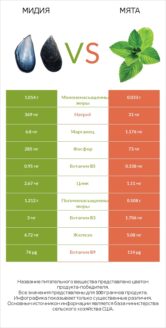 Мидия vs Мята infographic
