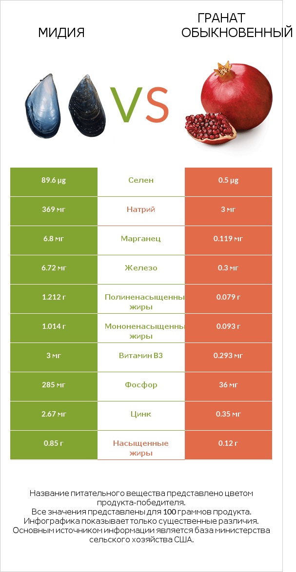 Мидия vs Гранат обыкновенный infographic