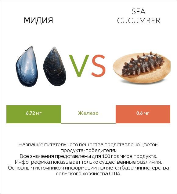 Мидия vs Sea cucumber infographic