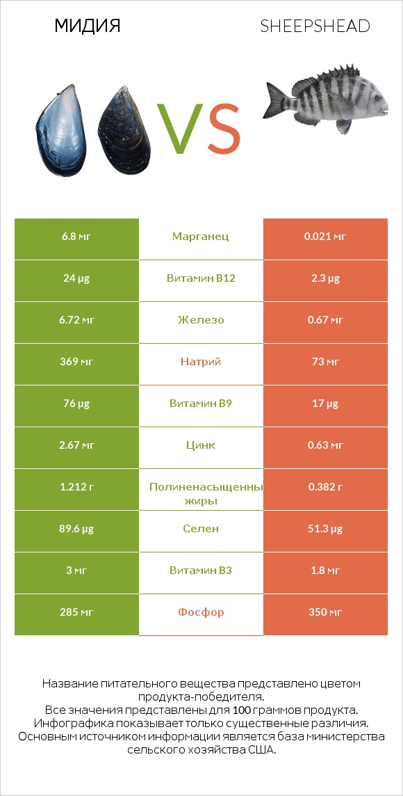 Мидия vs Sheepshead infographic