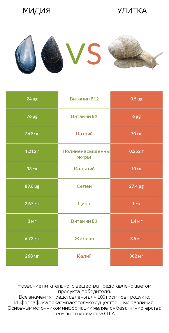 Мидия vs Улитка infographic