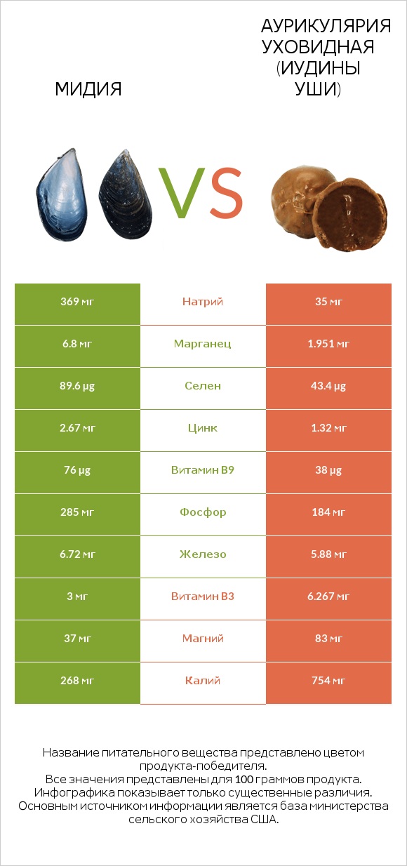 Мидия vs Аурикулярия уховидная (Иудины уши) infographic