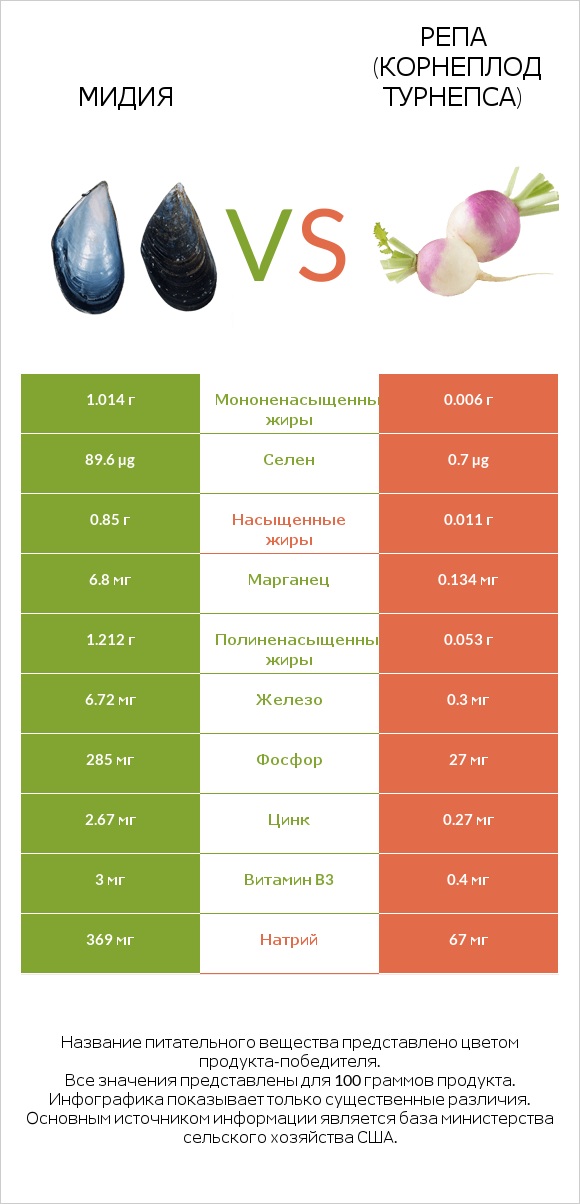 Мидия vs Репа (корнеплод турнепса) infographic