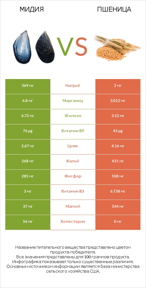 Мидия vs Пшеница infographic