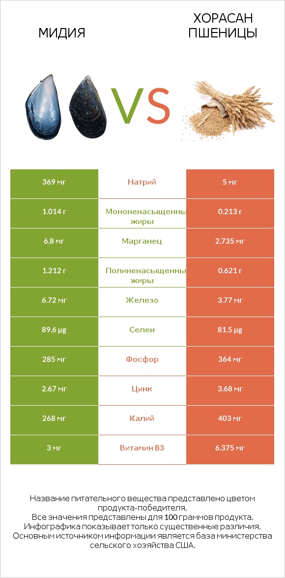 Мидия vs Хорасан пшеницы infographic