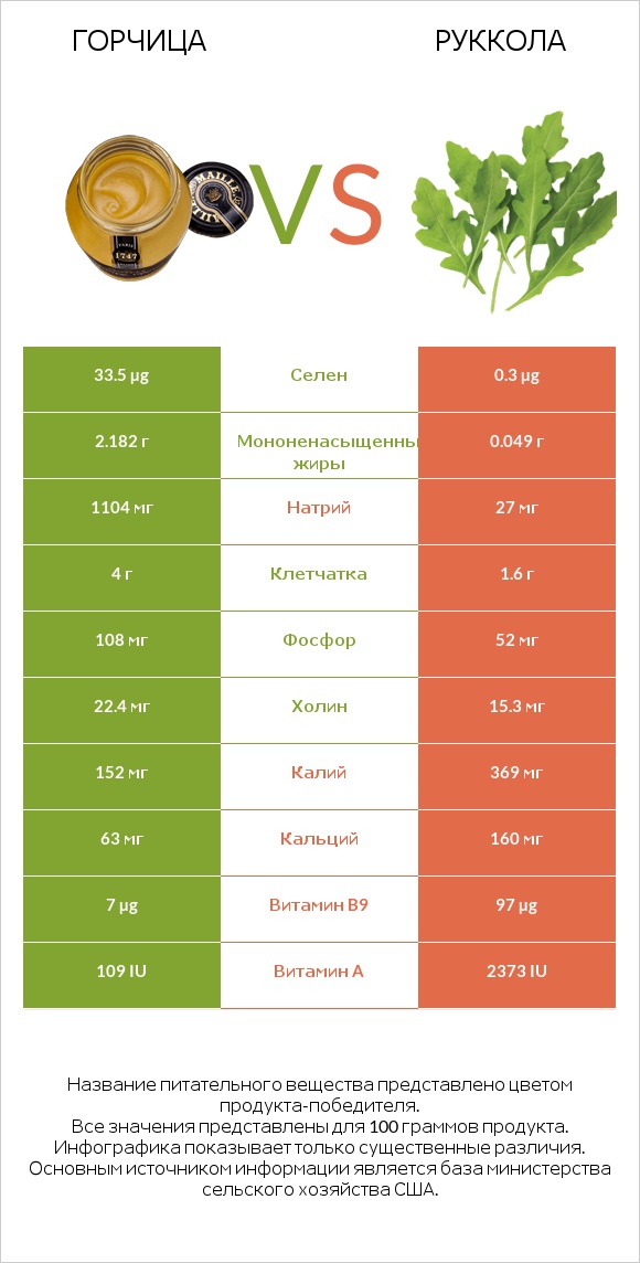 Горчица vs Руккола infographic