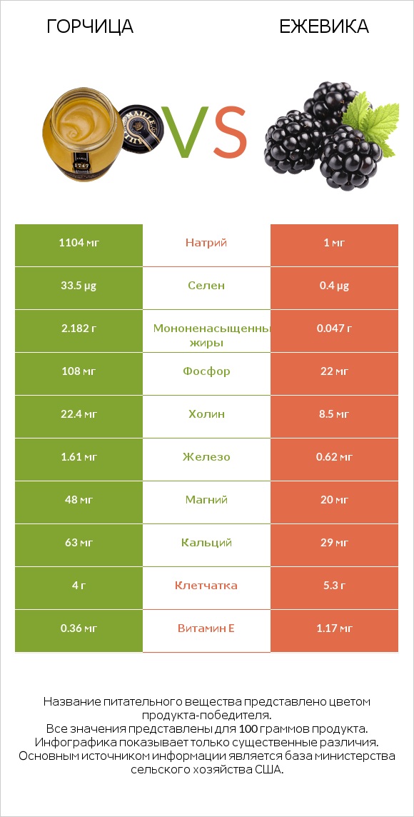 Горчица vs Ежевика infographic
