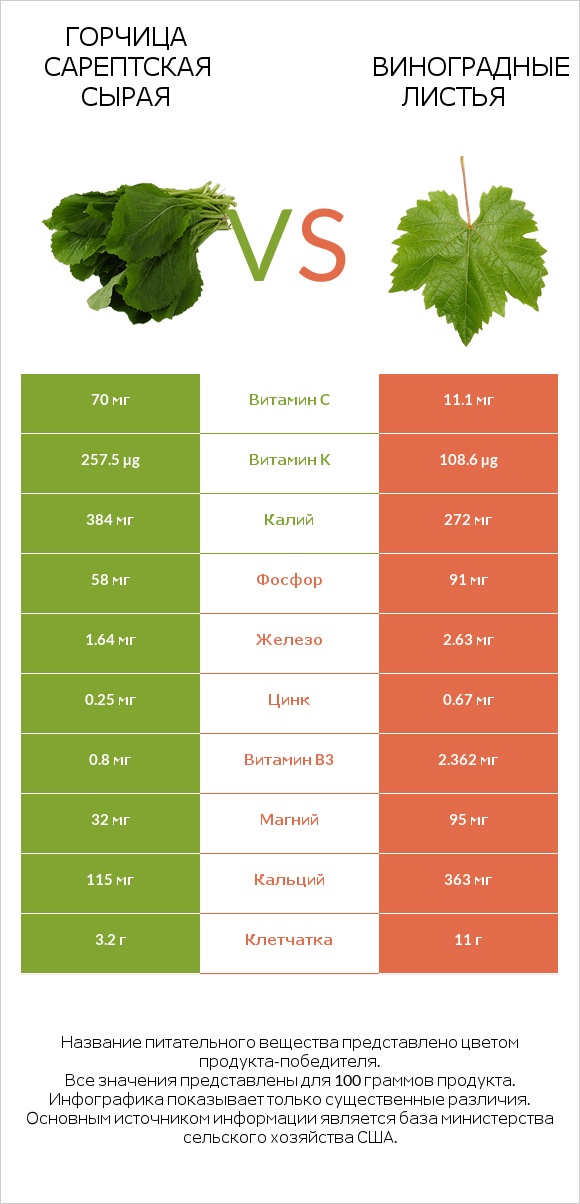 Горчица сарептская сырая vs Виноградные листья infographic