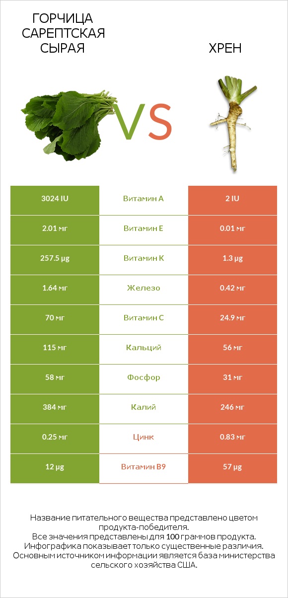 Горчица сарептская сырая vs Хрен infographic