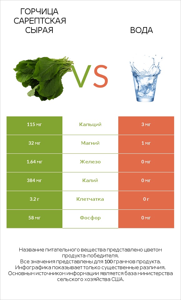 Горчица сарептская сырая vs Вода infographic