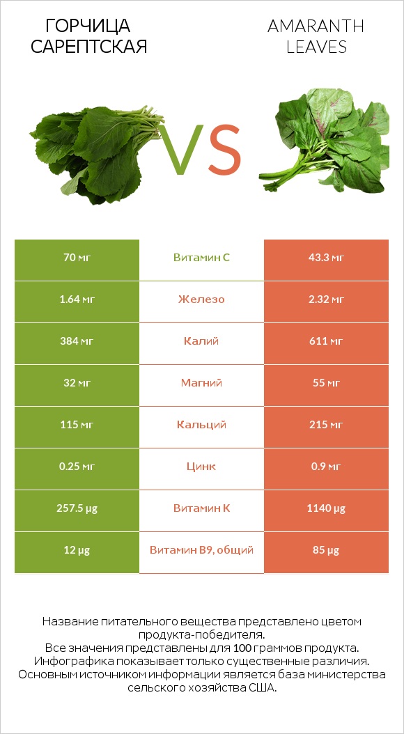 Горчица сарептская vs Amaranth leaves infographic