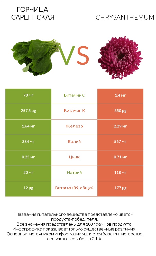 Горчица сарептская vs Chrysanthemum infographic