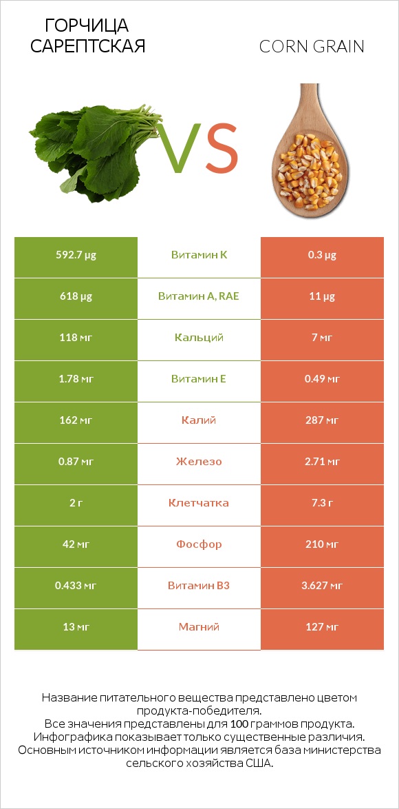 Горчица сарептская vs Corn grain infographic