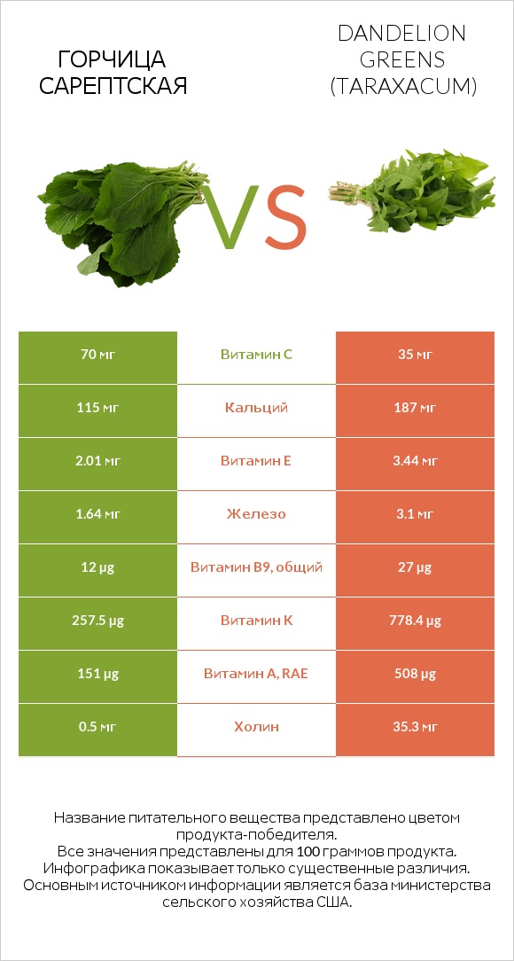 Горчица сарептская vs Dandelion greens infographic