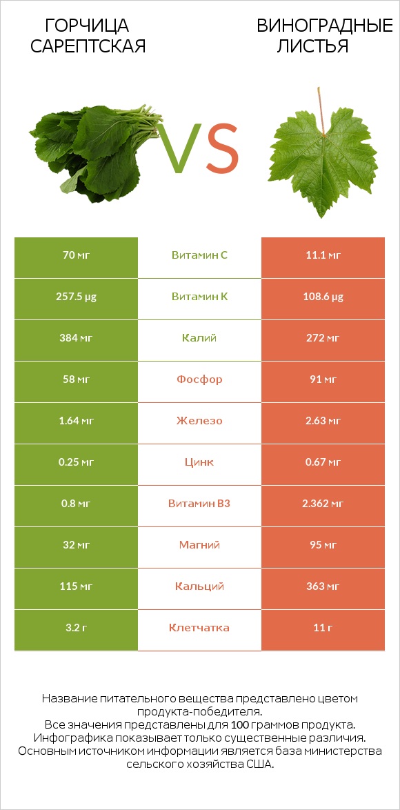 Горчица сарептская vs Виноградные листья infographic