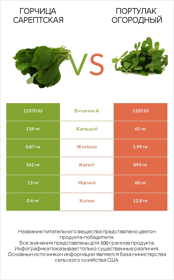 Горчица сарептская vs Purslane infographic