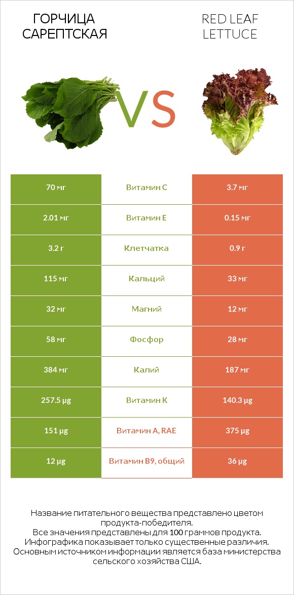 Горчица сарептская vs Red leaf lettuce infographic