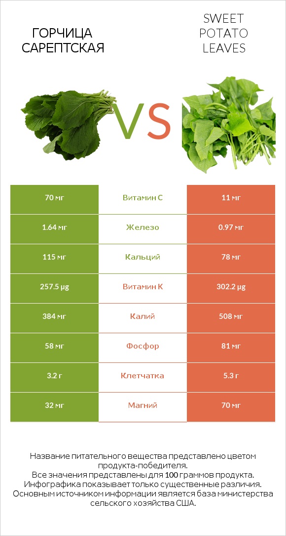 Горчица сарептская vs Sweet potato leaves infographic