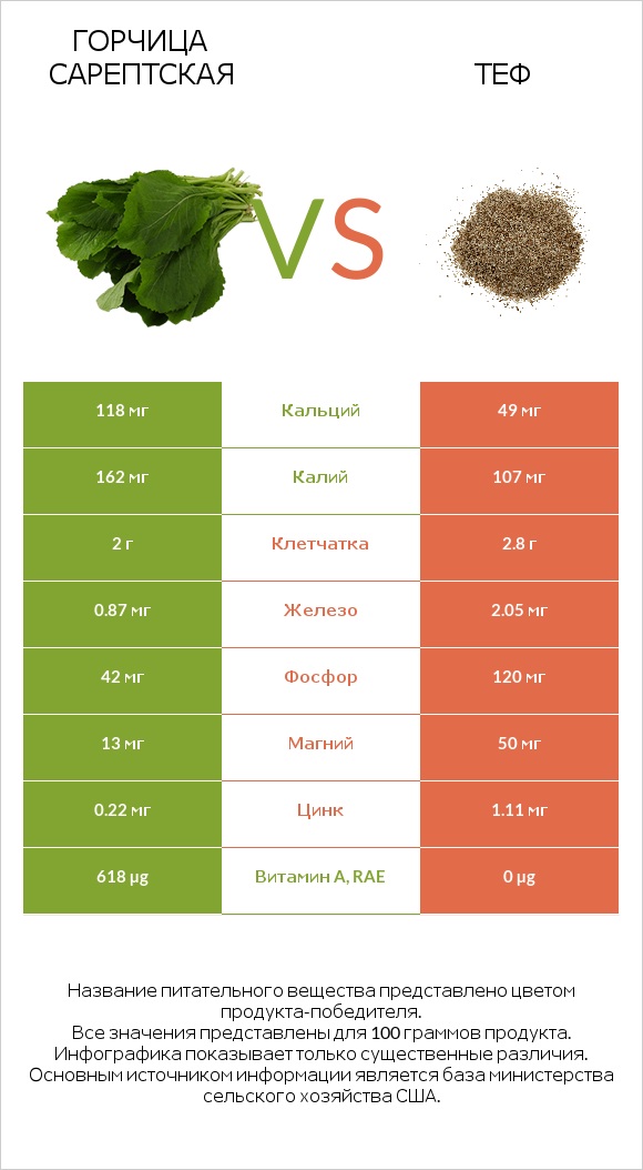 Горчица сарептская vs Теф infographic