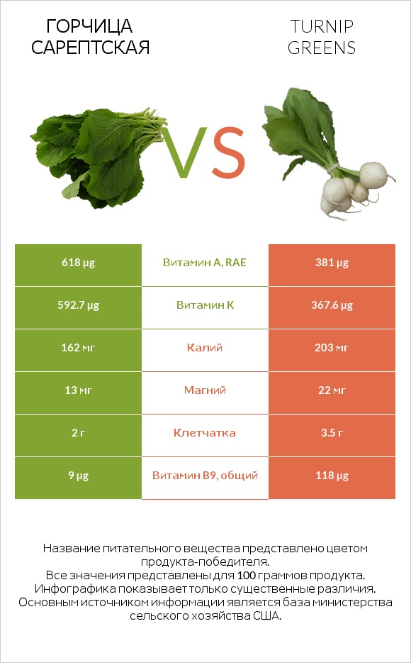 Горчица сарептская vs Turnip greens infographic