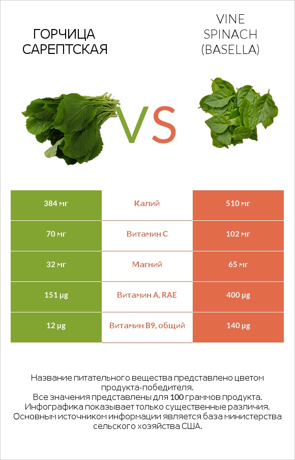 Горчица сарептская vs Vine spinach (basella) infographic